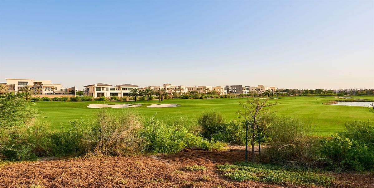 Emerald Hills